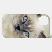 Ragdoll kitten Case-Mate iPhone case (Achterkant (horizontaal))