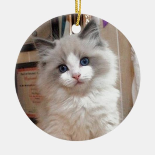 Ragdoll Kitten Cutie Keramisch Ornament (Voorkant)