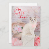 Ragdoll Kitten Flat Vakantie Kaart (Voorkant / Achterkant)