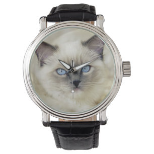 Ragdoll kitten horloge