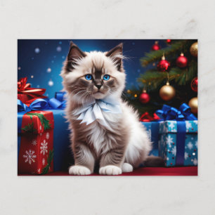 Ragdoll Kitten Kerstcadeau Briefkaart