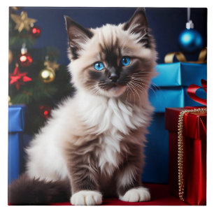 Ragdoll Kitten Kerstcadeau Tegeltje