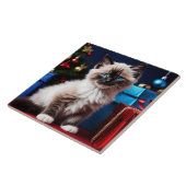 Ragdoll Kitten Kerstcadeau Tegeltje (Zijkant)