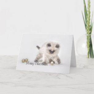 Ragdoll kitten kerstkaart feestdagen kaart