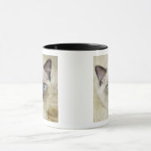 Ragdoll kitten mok (Midden)