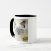 Ragdoll kitten mok (Voorkant links)