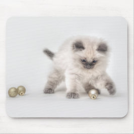 Ragdoll Kitten mousepad Muismat