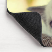 Ragdoll Kitten Muismat (Hoek)