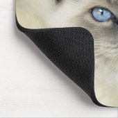 Ragdoll kitten muismat (Hoek)