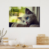 Ragdoll Kitten Poster (Keuken)