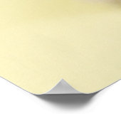 ragdoll kitten poster (Hoek)