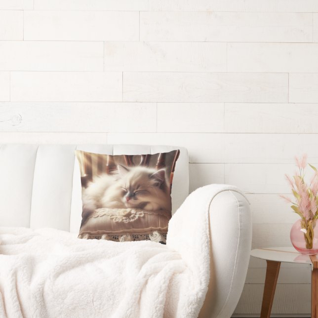 Ragdoll Kitten slapen op een kussen (Bank)