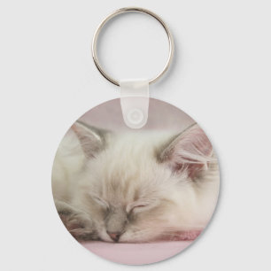 ragdoll kitten sleutelhanger