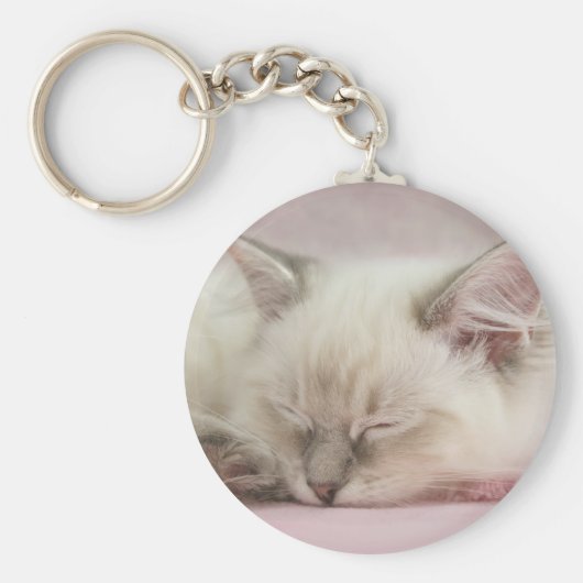 ragdoll kitten sleutelhanger (Voorkant)