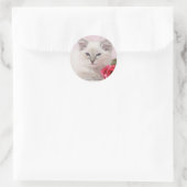 Ragdoll kitten stickers (Tas)