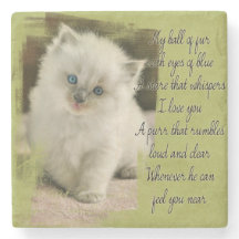 Ragdoll kitten stone onderzetter
