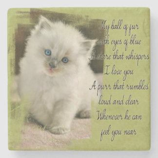 Ragdoll kitten stone onderzetter