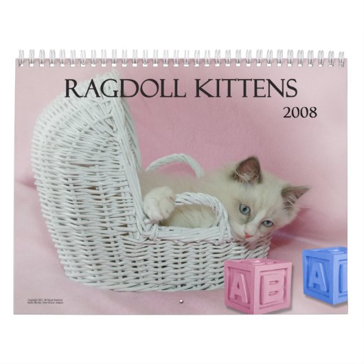 Ragdoll Kittens Agenda Kalender (Hoes)