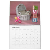 Ragdoll Kittens Agenda Kalender (Jan 2027)