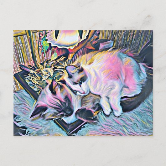 Ragdoll Kittens Briefkaart (Voorkant)