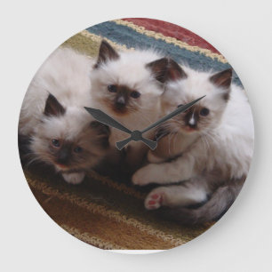 Ragdoll Kittens Clock Grote Klok