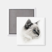 ragdoll magneet (Voorkant / Achterkant)