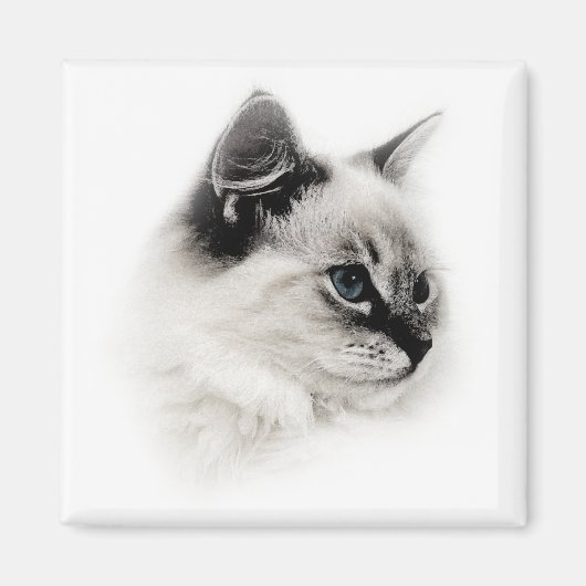 ragdoll magneet (Voorkant)