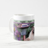 Ragdoll Mokken (Voorkant links)