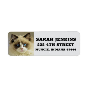 RAGDOLL PERSIAN CAT Big Return Adreslabels Etiket