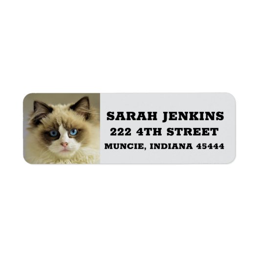 RAGDOLL PERSIAN CAT Big Return Adresse Étiquettes (Devant)