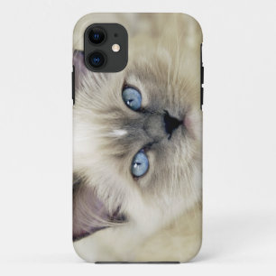 Ragdoll poesje iPhone 11 hoesje