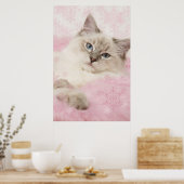 ragdoll poster (Keuken)