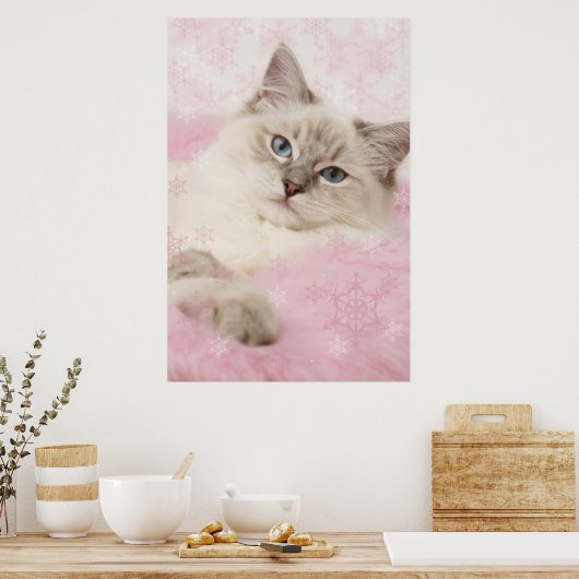 ragdoll poster (Keuken)