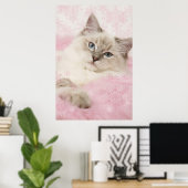 ragdoll poster (Thuiskantoor)