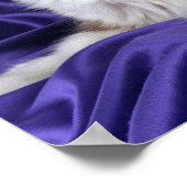 Ragdoll, verzegeld in twee kleuren poster (Hoek)