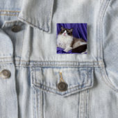 Ragdoll, verzegeld in twee kleuren vierkante button 5,1 cm (In situ)