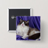 Ragdoll, verzegeld in twee kleuren vierkante button 5,1 cm (Voorkant /achterkant)