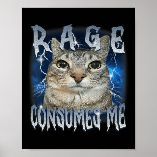Rage Consumes Me Cat Funny Meme Poster