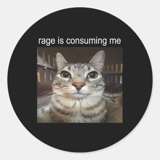 Rage is het consumeren van me Gekke staren cat mem Ronde Sticker (Voorkant)