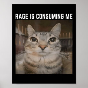 Rage is het consumeren van me meme kat meme vreemd poster