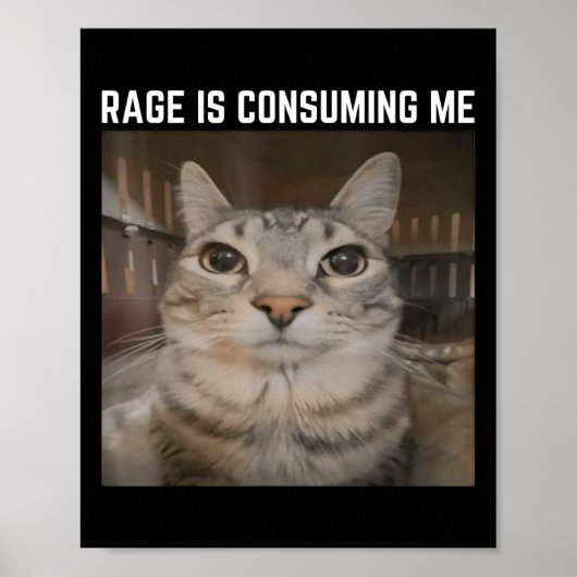Rage is het consumeren van me meme kat meme vreemd poster (Voorkant)
