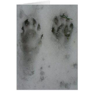 Ragondin de neige '