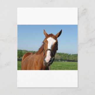 Rags naar Riches Briefkaart