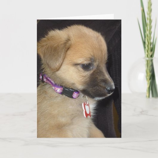 Rahja Kaart (Voorkant)