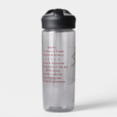 Raidho "Reizen" Rune Steen Waterfles (Voorkant)