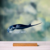 Raie Manta (Neutre)