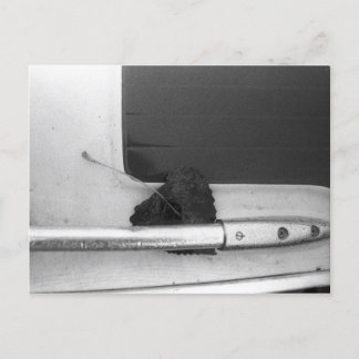 Rail Leaf en Grab Briefkaart