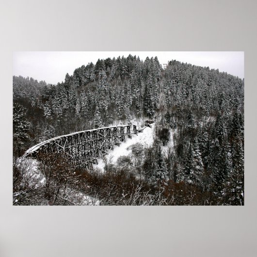 Railroad Trestle in Cloudcroft New Mexico Poster (Voorkant)