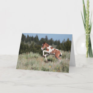 Rain Dance Wenskaart Kaart