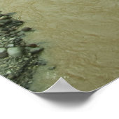 Rain Forest Poster (Hoek)